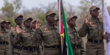 Mulheres assumem papel de destaque na conservação ambiental em Sofala