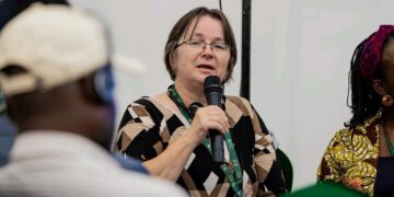 Moçambique aposta em créditos de carbono para proteger florestas e dinamizar a economia verde