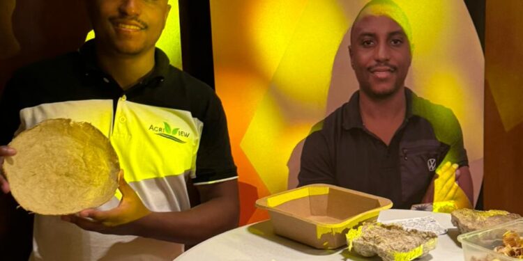 Agreview África Conquista Reconhecimento Internacional e Intensifica Luta contra Plásticos