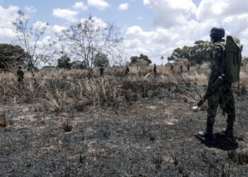 Terroristas voltam a atacar Memba, em Nampula e população é obrigada a refugiar-se em praias