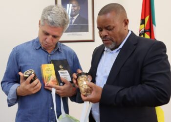 Moçambique e Brasil Ajustam Prioridades para uma Nova Etapa de Cooperação Agrária