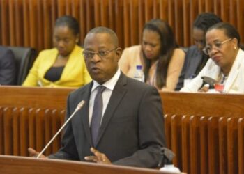 Provedor de Justiça diz haver má interpretação do direito à manifestação e propõe educação cívica dos moçambicanos