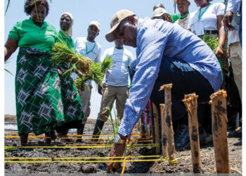 Presidential Weekly Ed 22