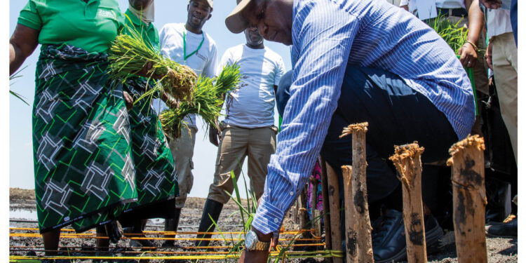 Semanário Presidencial Ed 22