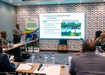 Maputo acolhe primeira sessão do Comité Directivo da Conservação da Biodiversidade