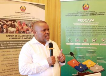 Governo Defende Acções no Terreno Para Garantir Segurança Alimentar