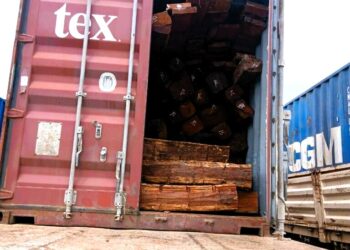 Autoridades florestais neutralizam três camiões de madeira fruto de contrabando