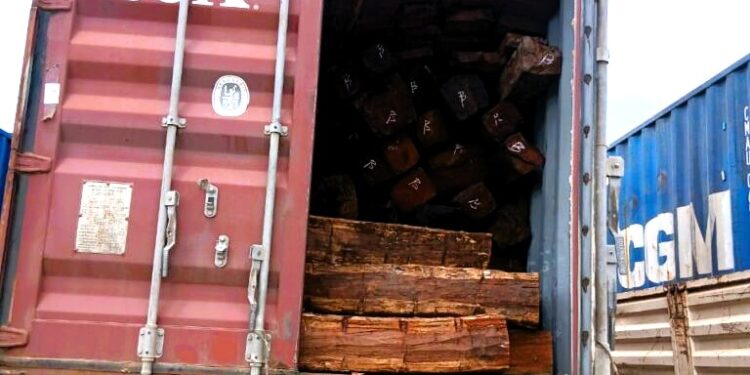 Autoridades florestais neutralizam três camiões de madeira fruto de contrabando