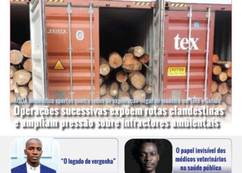 ISOCNEWS Diário Digital Ed 10