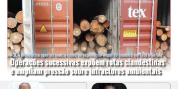 ISOCNEWS Diário Digital Ed 10