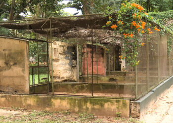 Jardim Zoológico de Maputo perde brilho e luta para sobreviver ao tempo