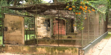 Jardim Zoológico de Maputo perde brilho e luta para sobreviver ao tempo