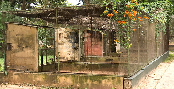 Jardim Zoológico de Maputo perde brilho e luta para sobreviver ao tempo