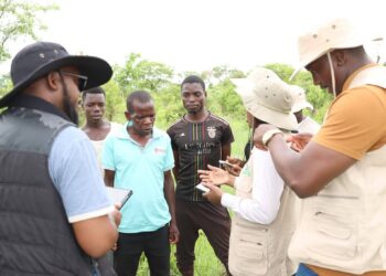 MAAP lança monitoria participativa em Nampula para enfrentar desmatamento