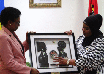 Parlamento Moçambicano propõe programa de operacionalização e cooperação com Ruanda