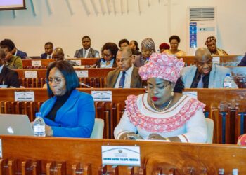 Anchia Talapa Formiga defende criação da Autoridade Reguladora de Seguros e Fundos de Pensões para fortalecer o sistema financeiro