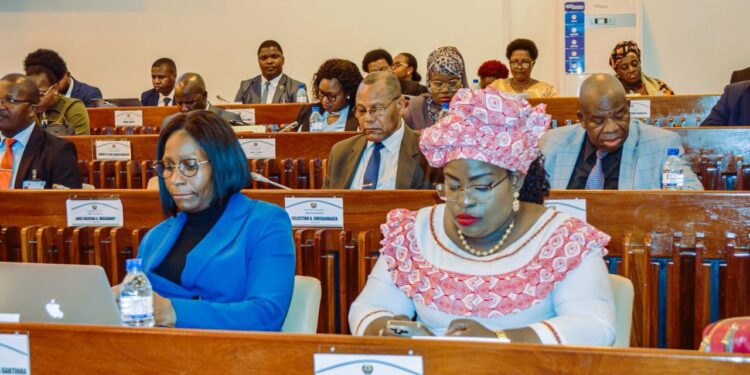 Anchia Talapa Formiga defende criação da Autoridade Reguladora de Seguros e Fundos de Pensões para fortalecer o sistema financeiro