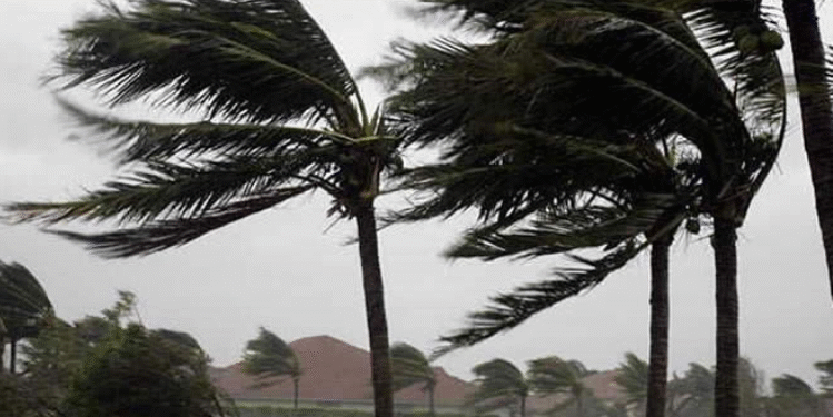 INAM prevê chuvas intensas e recomenda medidas de precaução no norte de Moçambique