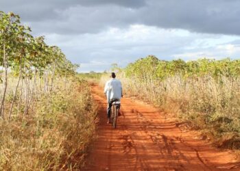 Terras ociosas na província de Maputo poderão reverter a favor do Estado