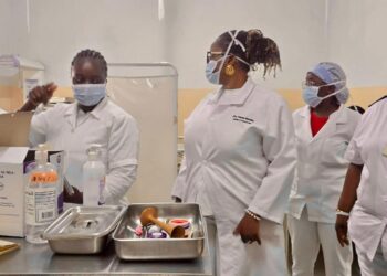 Directora do Serviço de Saúde de Maputo avalia funcionamento do Centro de Saúde de Albazine