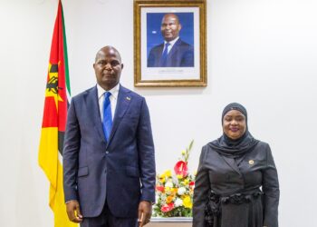 Parlamento destaca empenho de Daniel Chapo na busca de soluções sustentáveis no primeiro ano de mandato