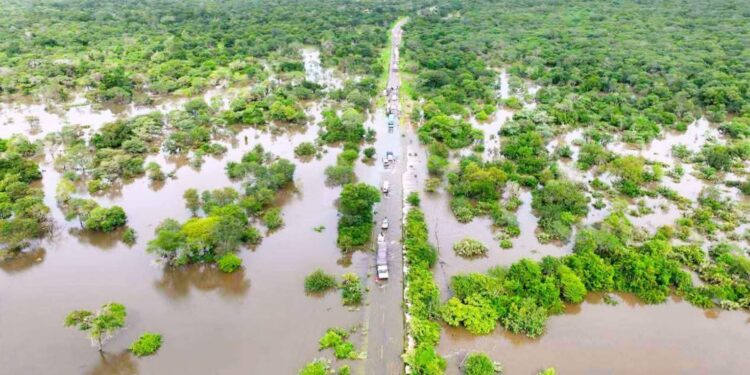 Alerta de cheias: ARA-Sul adverte para risco elevado de inundações no sul de Moçambique