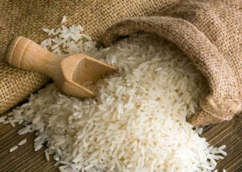 Encerram hoje submissões de pedidos para importação de arroz e trigo no Instituto de Cereais de Moçambique  