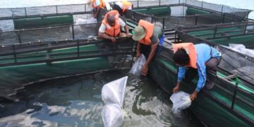 Produção aquícola em Cahora Bassa reforçada com novo investimento governamental