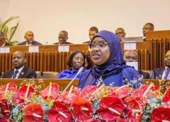 PAR Margarida Talapa enaltece estabilidade, coesão nacional e diplomacia económica na abertura da III Sessão Ordinária