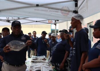 Produção de pescado deverá ultrapassar 549 mil toneladas na campanha de 2026