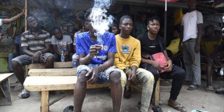 Consumo e tráfico de drogas no seio da juventude preocupa PR