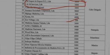 Sector florestal: S&M extrapola quotas de exportação e reacende polémica sobre actuação de Imede Falume