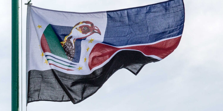 Oficiais da RENAMO reúnem-se sem liderança e admitem crise interna