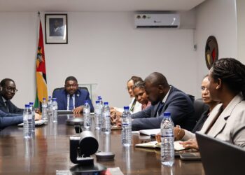 Moçambique intensifica diplomacia económica para mobilização de capital internacional