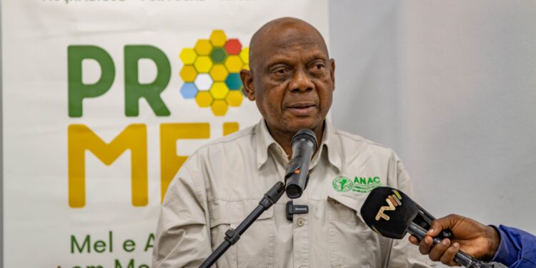 ANAC lança projecto PROMEL no Parque Nacional de Chimanimani para impulsionar desenvolvimento sustentável