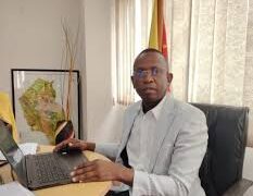 Falume faz vista grossa aos atropelos no processo de licenciamento de exportação de madeira