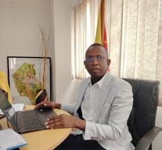 Falume faz vista grossa aos atropelos no processo de licenciamento de exportação de madeira