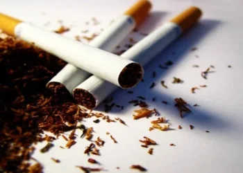 Queda na produção de tabaco preocupa apesar do aumento das exportações