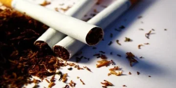 Queda na produção de tabaco preocupa apesar do aumento das exportações
