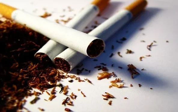 Queda na produção de tabaco preocupa apesar do aumento das exportações