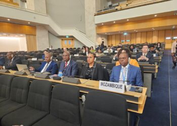 Moçambique reforça aposta na inovação digital num fórum das Nações Unidas