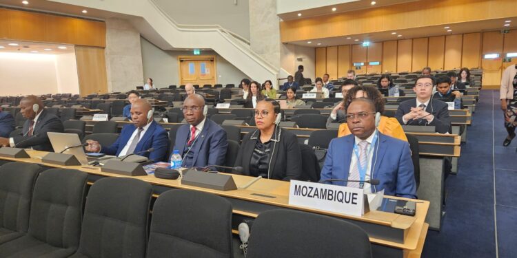 Moçambique reforça aposta na inovação digital num fórum das Nações Unidas