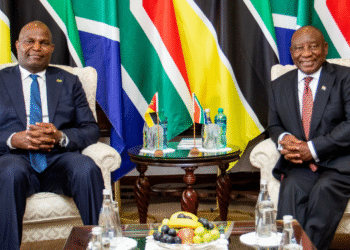 Segurança de moçambicanos domina encontro entre Chapo e Ramaphosa na África do Sul