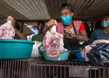 Hábitos alimentares ao nível da cidade de Maputo