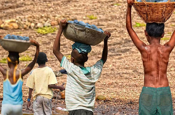 Trabalho infantil persiste no país apesar dos compromissos do Governo