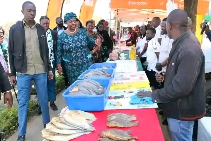 Manica acolheu Feira Provincial Económica com olhos postos para a FACIM 2026