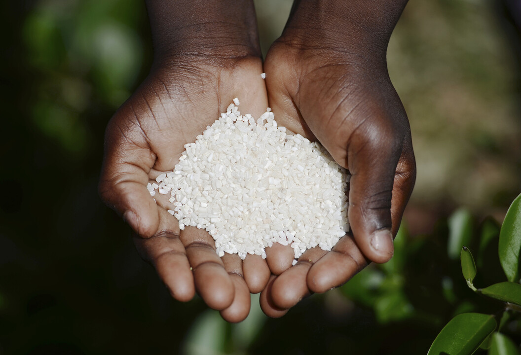 Moçambique atinge níveis de fortificação alimentar que rodam os 60% e 70%